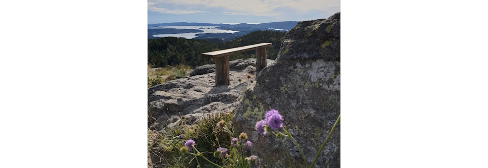 Rundtur i Kanadaskogen